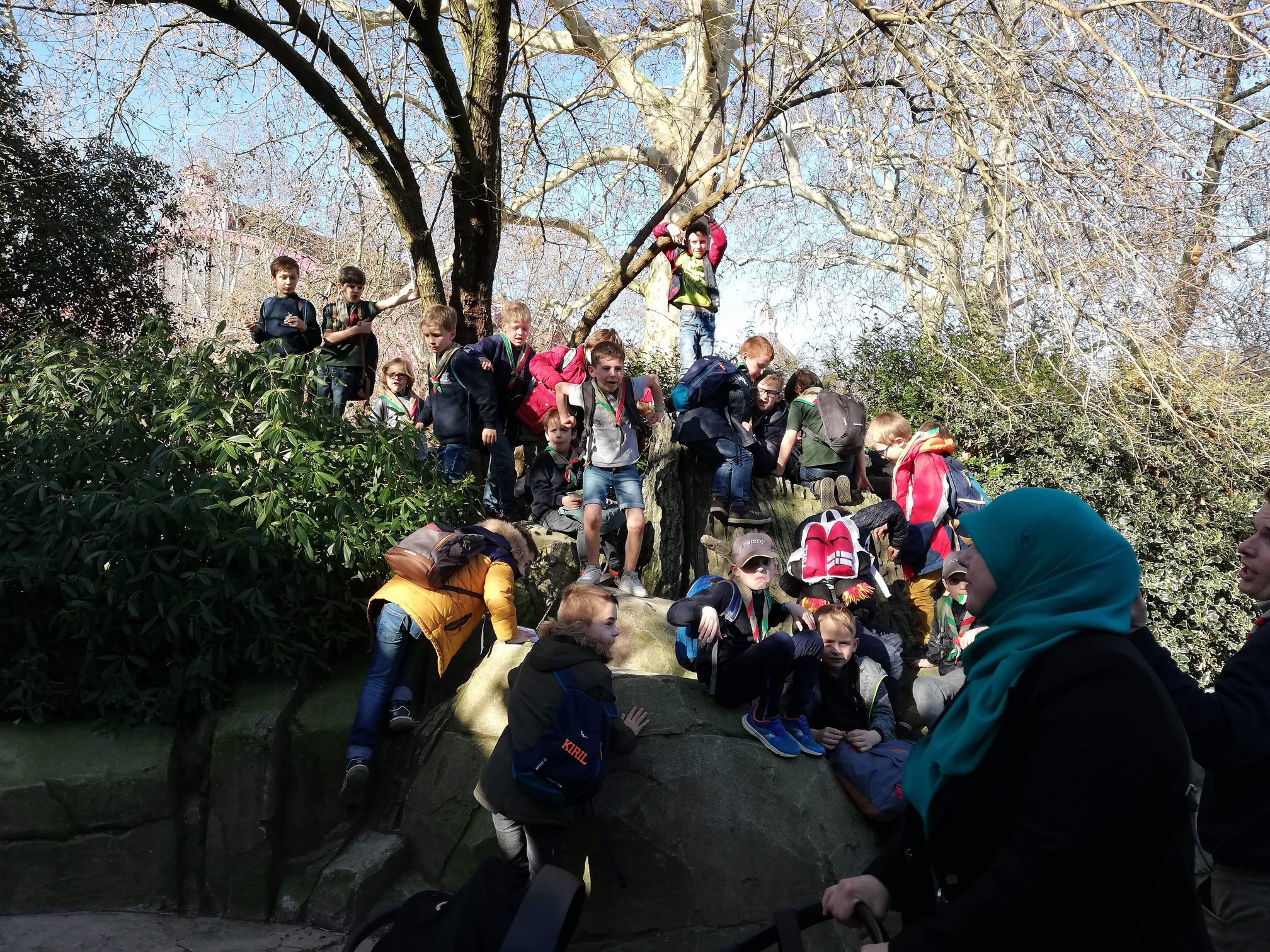 Sint-Martinus den XIIde - Zoo Antwerpen Kapoenen